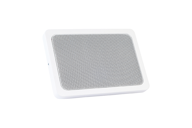 Wall mounted loudspeaker ABT-W6F