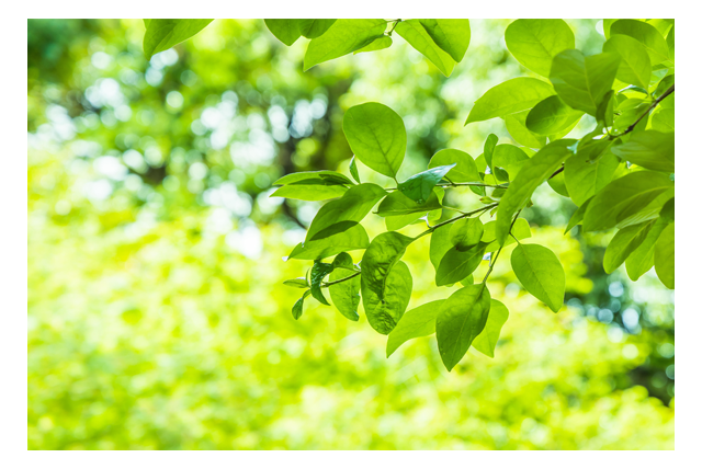 Small size, big energy savings